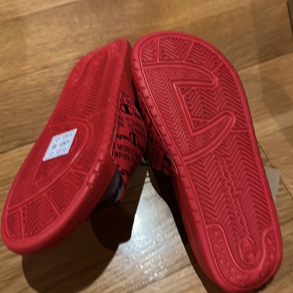 Champion Preschool IPO IT TAKES A LITTLE MORE TO MAKE A CHAMPION Print - Picture 10 of 13